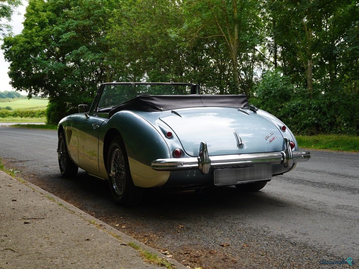 1964' Austin-Healey 3000 photo #4