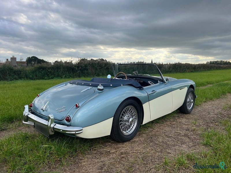 1959' Austin-Healey 100-6 photo #5