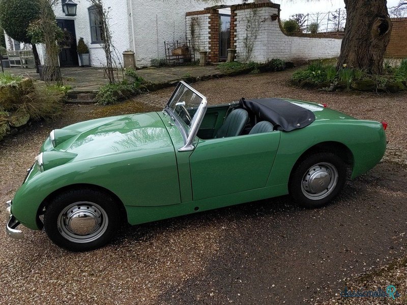 1961' Austin-Healey Sprite photo #1