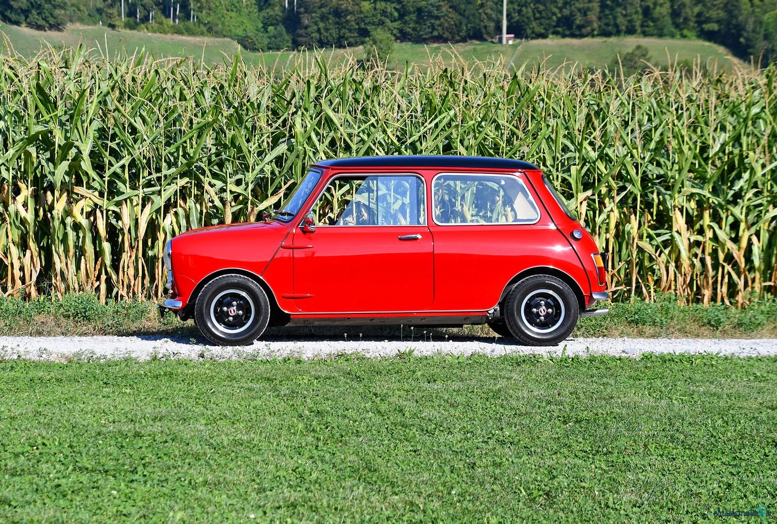 1969' Morris Mini photo #5