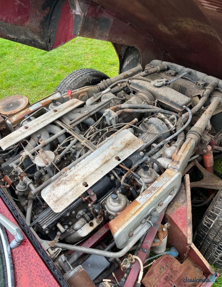 1971' Jaguar E-Type photo #6