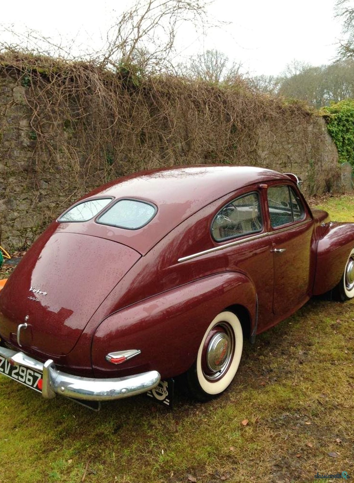 1954' Volvo Pv photo #5