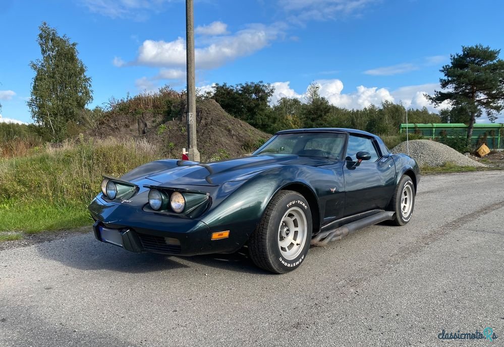 1979' Chevrolet Corvette photo #1