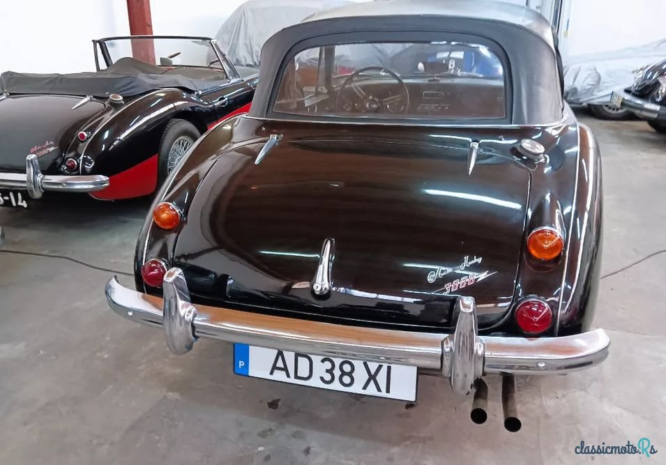 1965' Austin-Healey 3000 photo #3