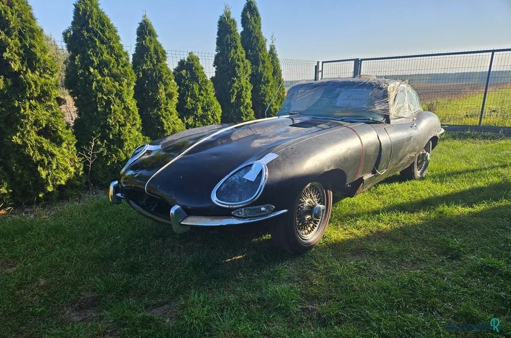 1965' Jaguar E-Type photo #1