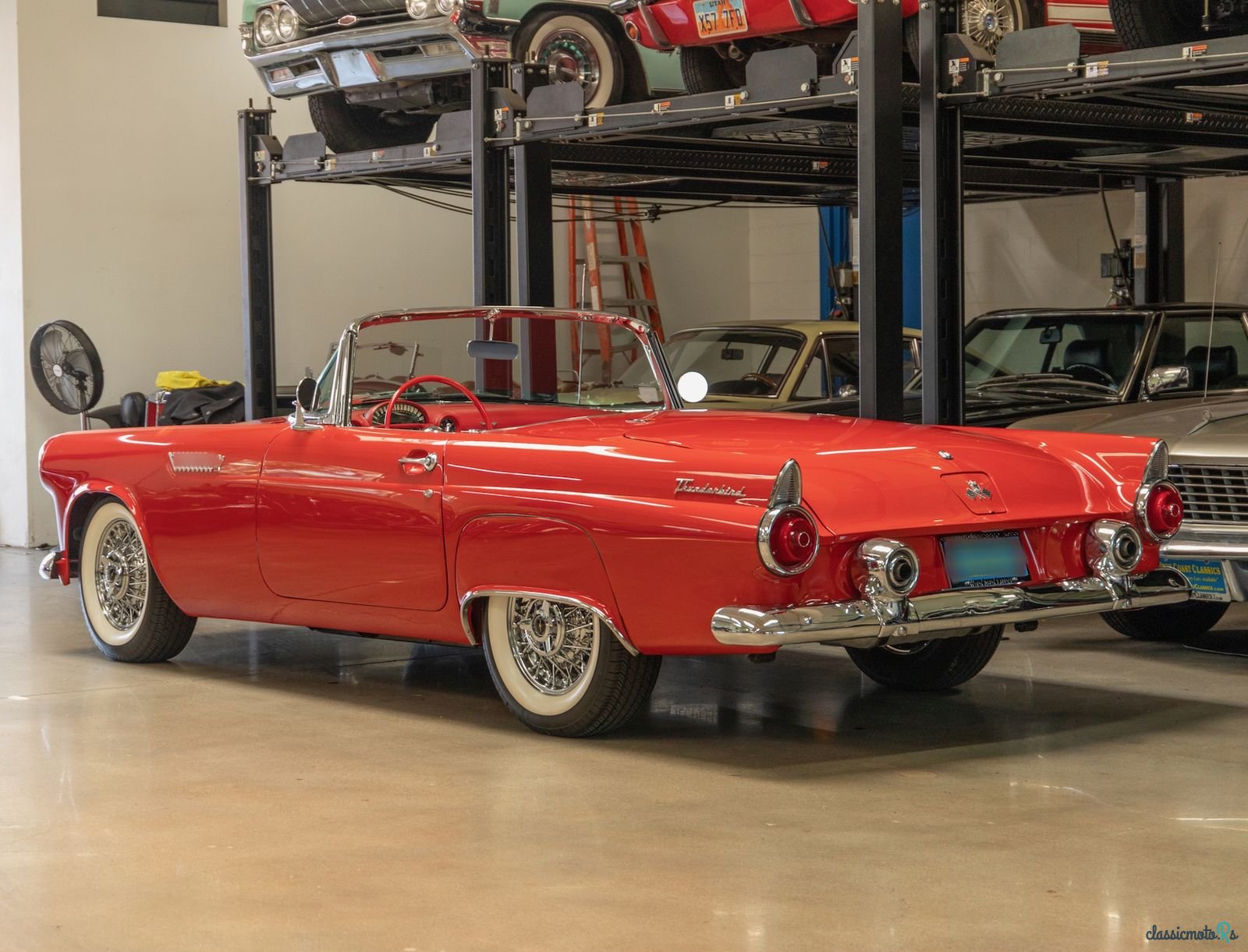 1955' Ford Thunderbrid photo #6