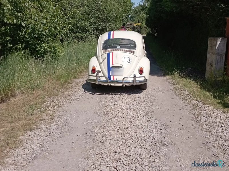 1966' Volkswagen Garbus photo #3