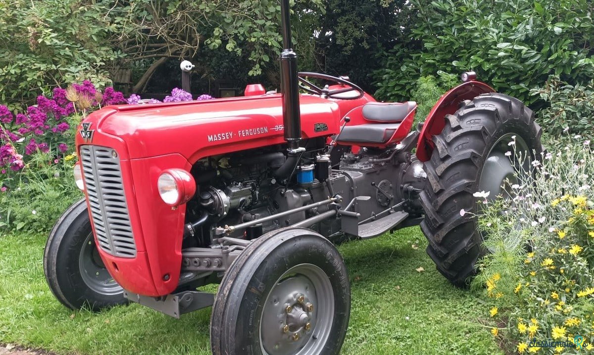 1962' Massey Ferguson KDV397 photo #1