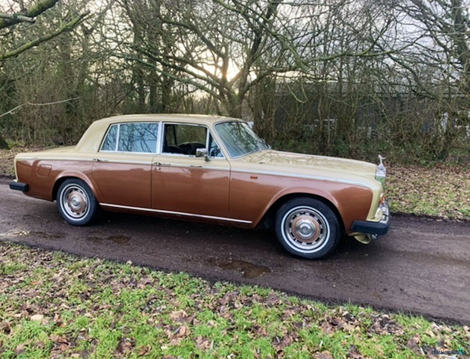 1977' Rolls-Royce Silver Shadow photo #3