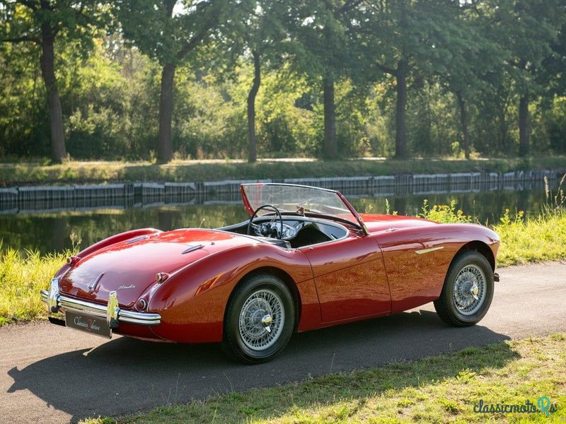 1955' Austin-Healey 100/4 photo #6