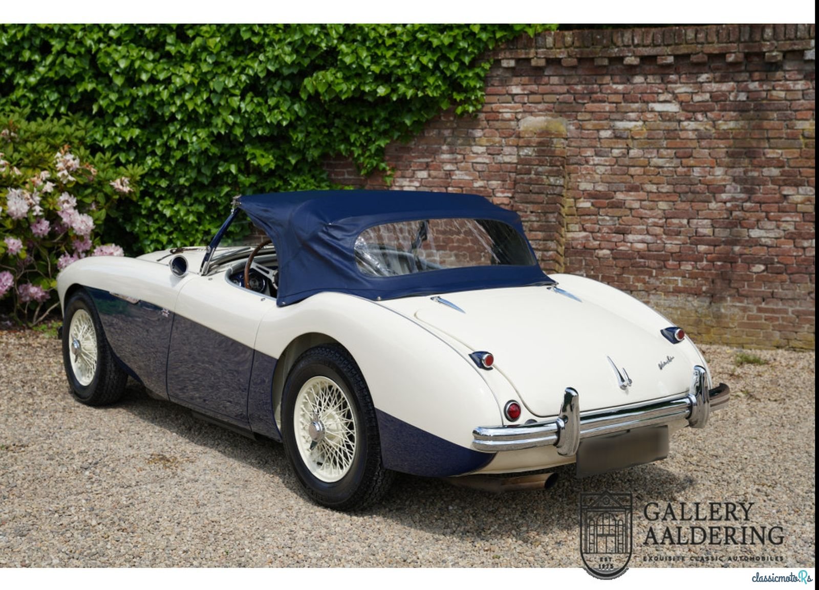 1954' Austin-Healey 100 photo #2