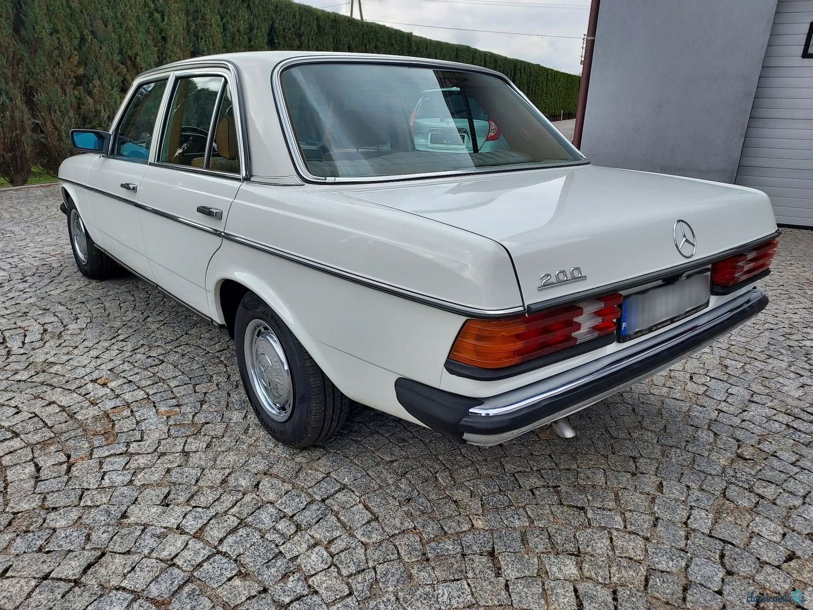 1979' Mercedes-Benz W123 photo #4