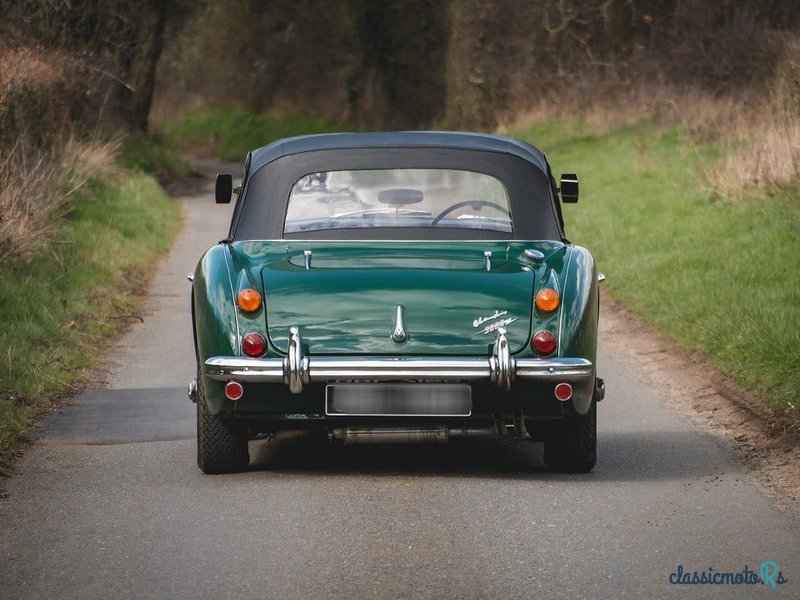 1966' Austin-Healey 3000 photo #6