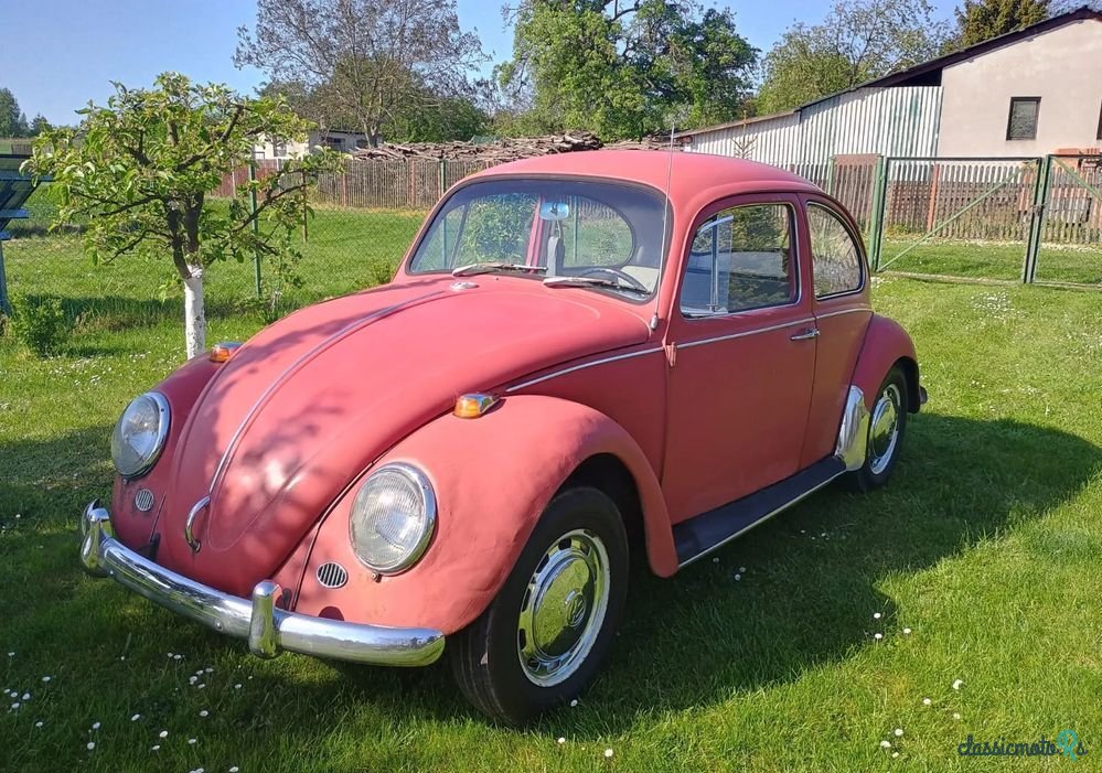 1967' Volkswagen Garbus photo #1