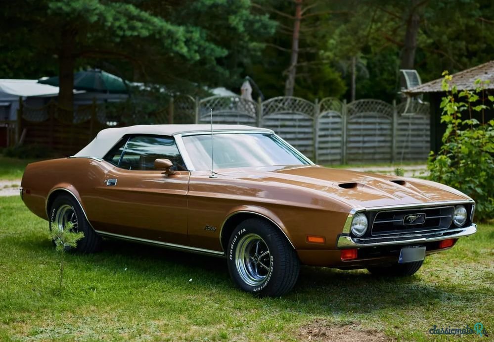 1971' Ford Mustang photo #1