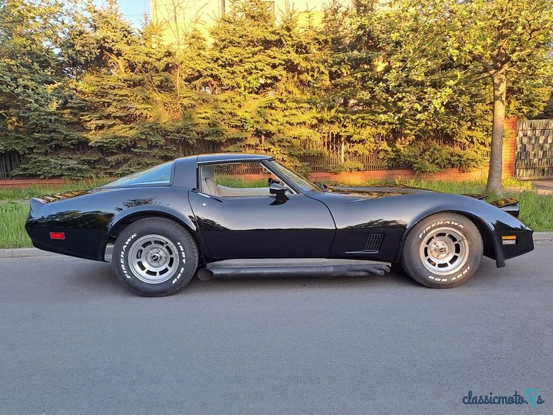 1979' Chevrolet Corvette photo #4