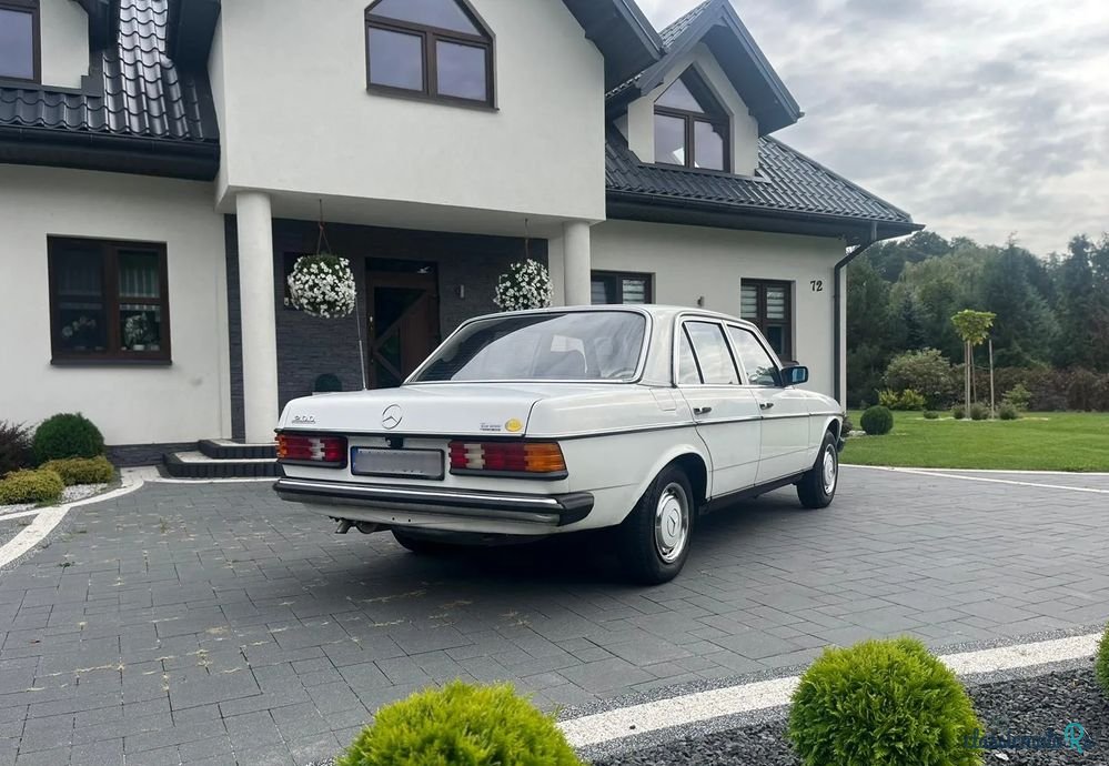 1980' Mercedes-Benz W123 photo #3