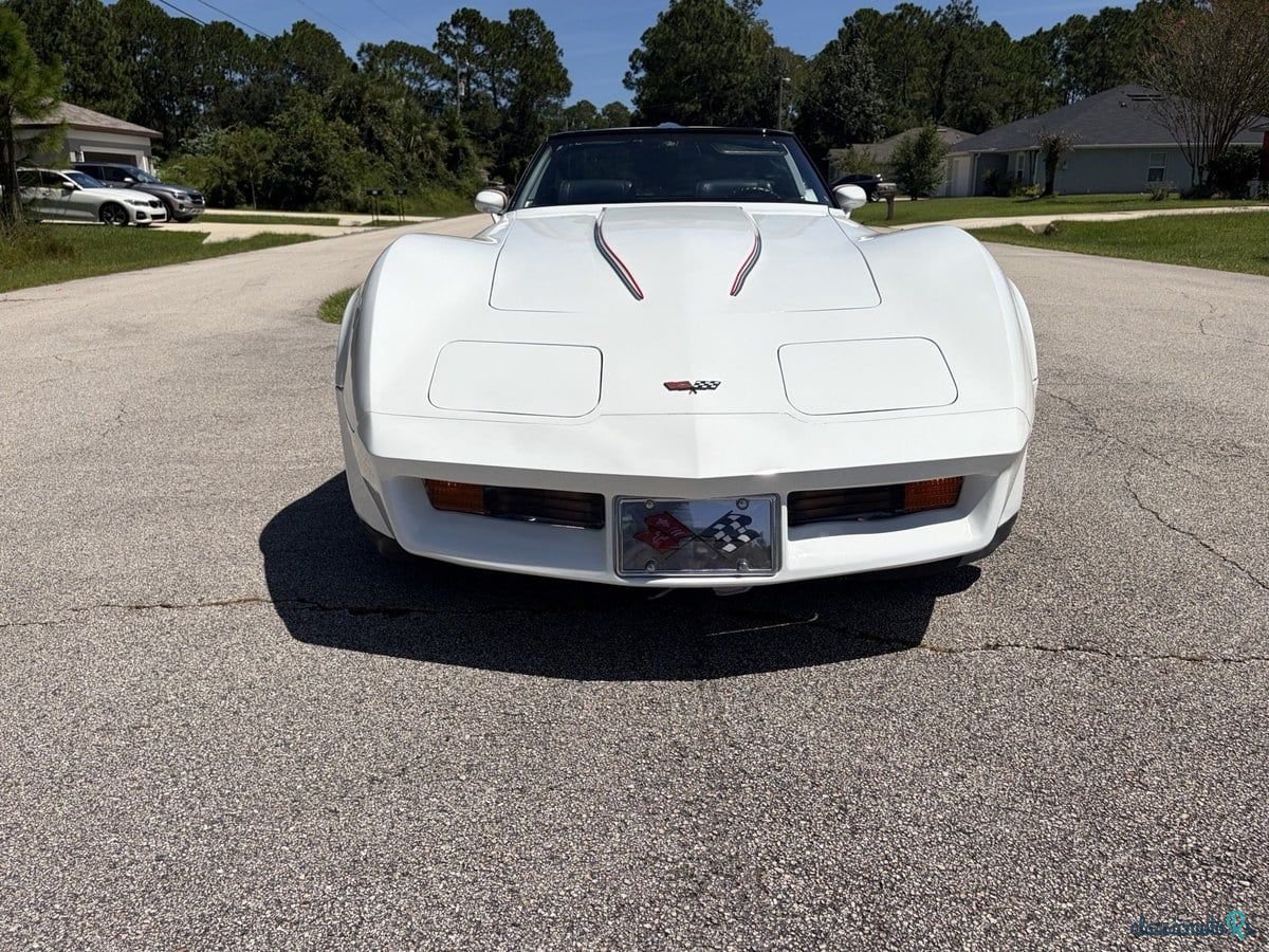 1982' Chevrolet Corvette photo #3
