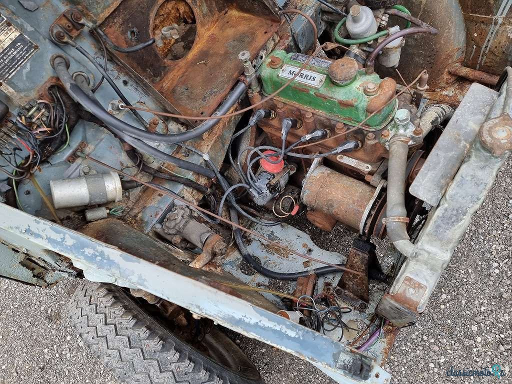 1956' Morris photo #3