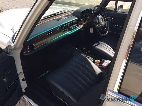 1972' Mercedes-Benz 280 W108 photo #3