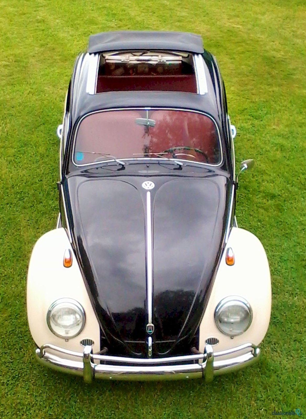 1962' Volkswagen Beetle photo #1