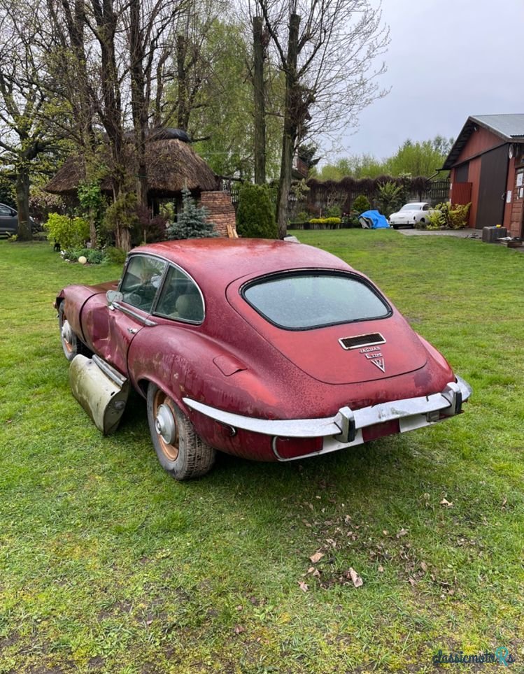 1971' Jaguar E-Type photo #3