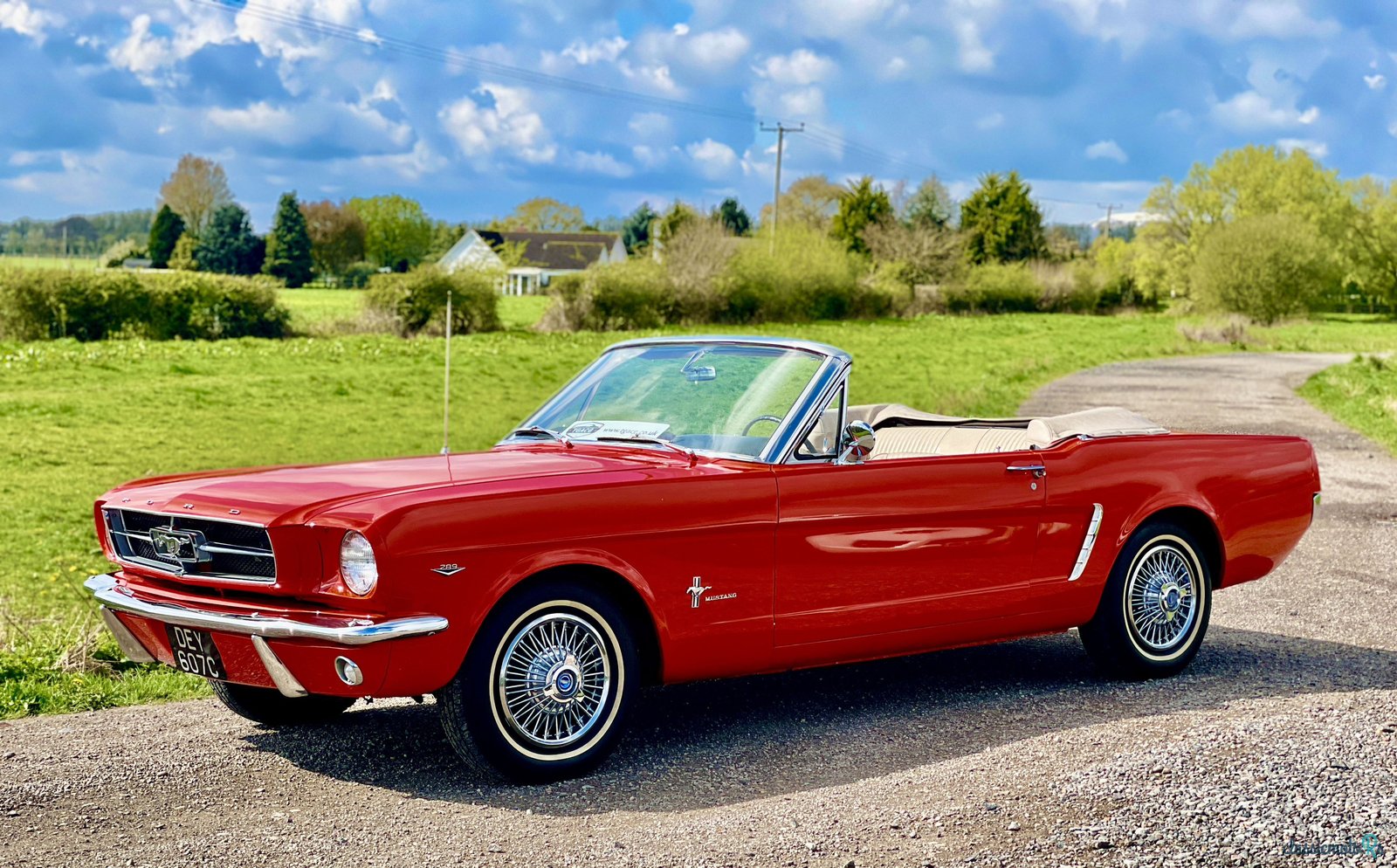 1965' Ford Mustang photo #1