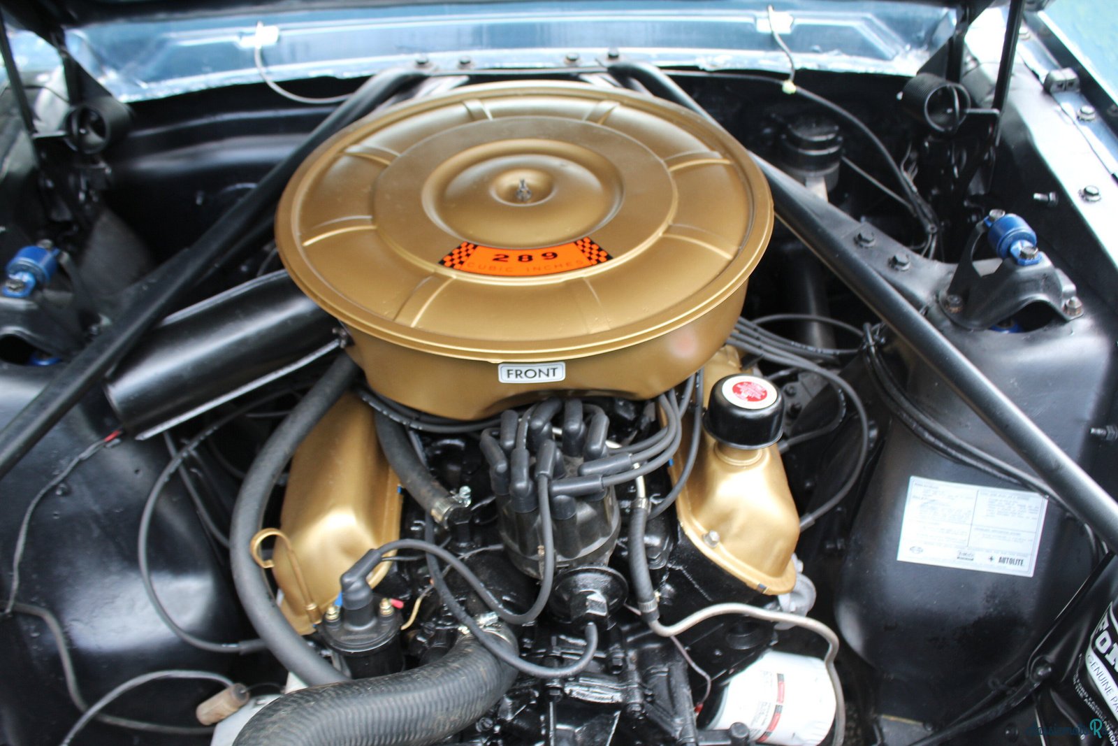 1965' Ford Mustang photo #5