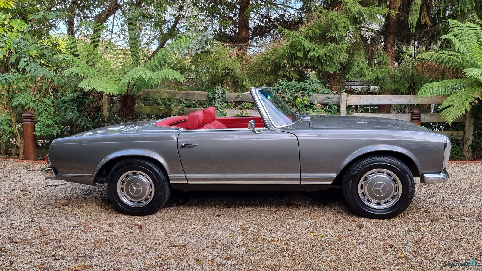 1966' Mercedes-Benz 230 photo #2