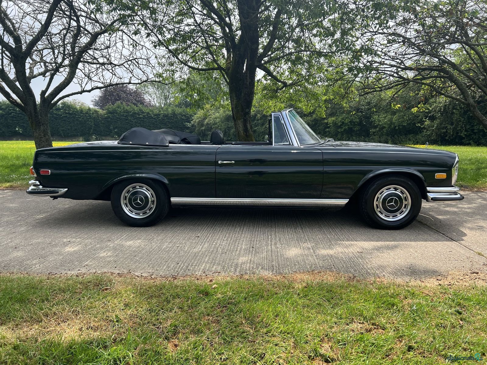 1971' Mercedes-Benz 280Se 3.5 photo #6