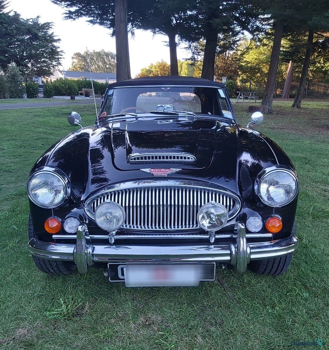 1967' Austin-Healey 3000 photo #6
