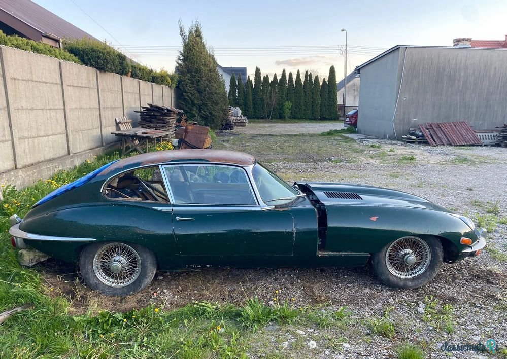 1969' Jaguar E-Type photo #2