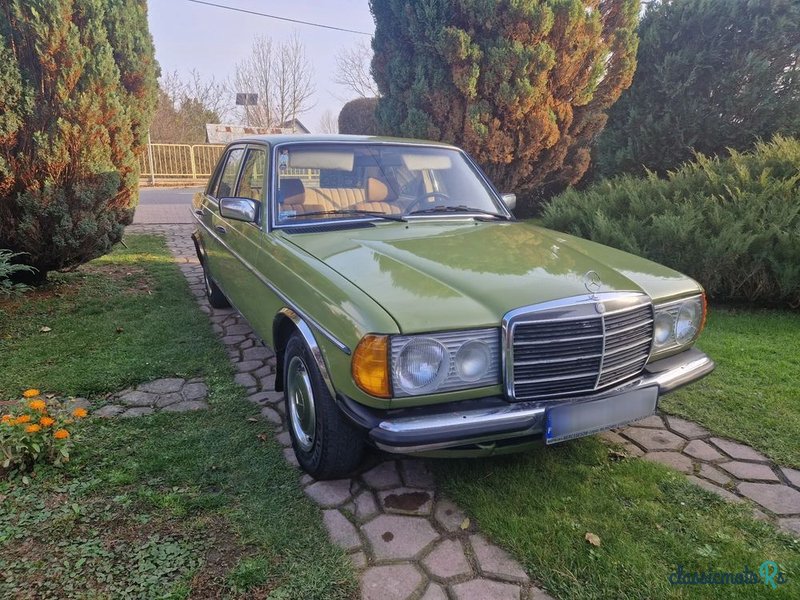 1980' Mercedes-Benz W123 photo #1