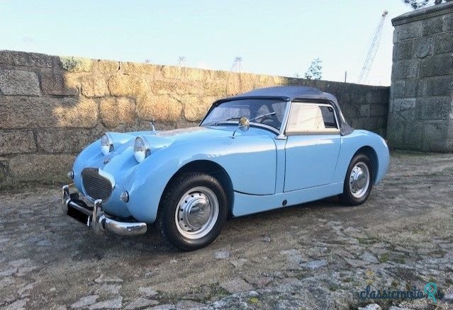 1959' Austin-Healey Sprite photo #1