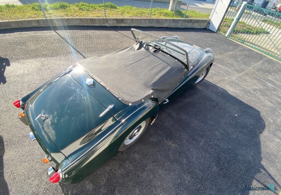 1959' Triumph TR3 photo #6