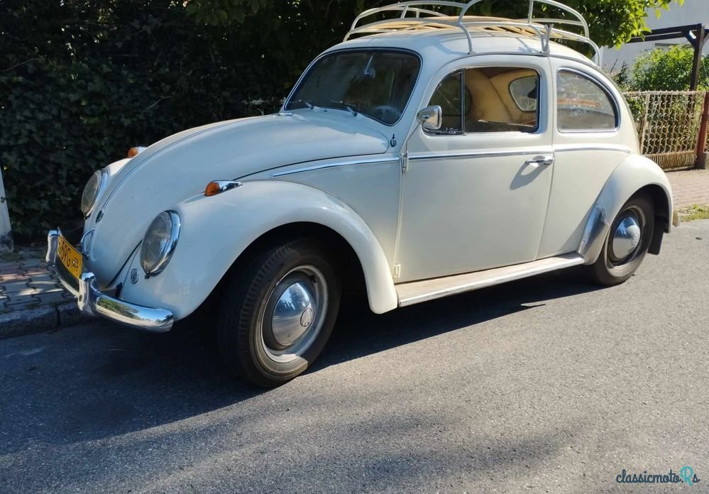 1961' Volkswagen Garbus photo #2