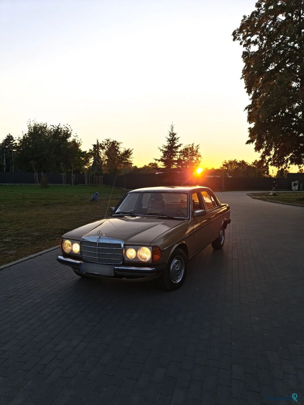 1977' Mercedes-Benz W123 photo #1
