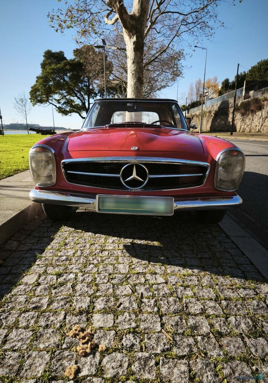 1965' Mercedes-Benz 230SL photo #3
