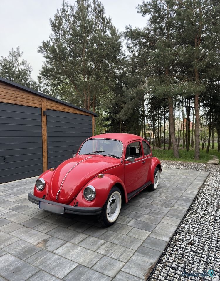 1969' Volkswagen Garbus photo #4