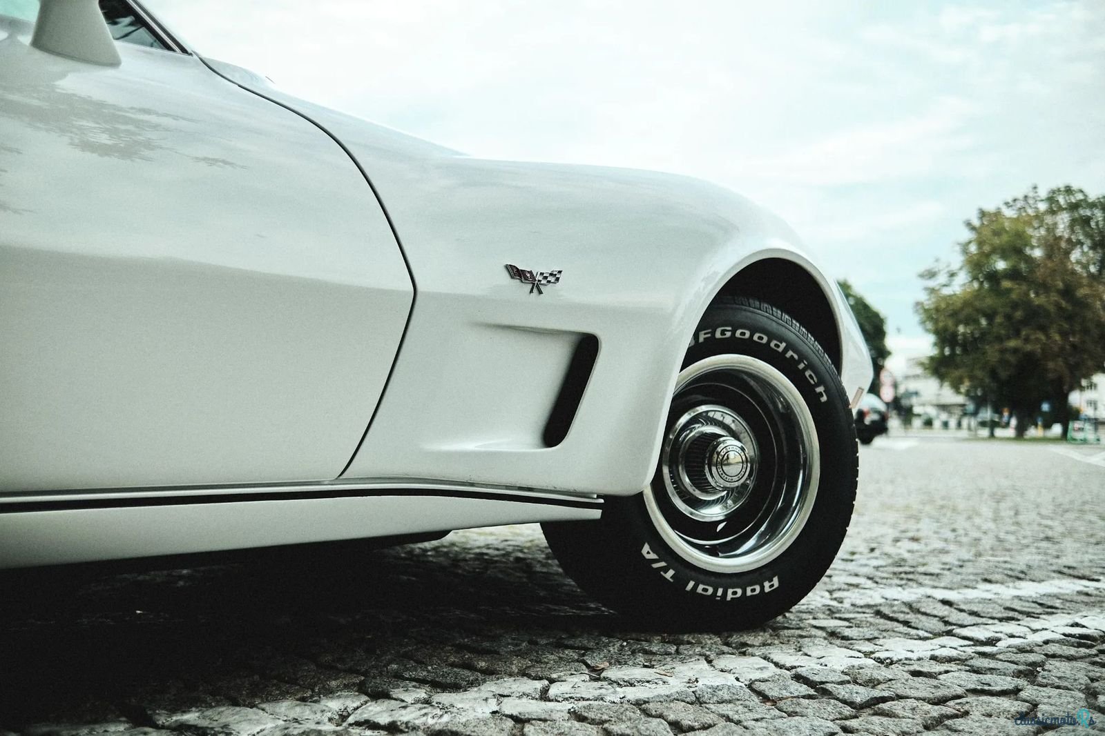 1976' Chevrolet Corvette photo #2