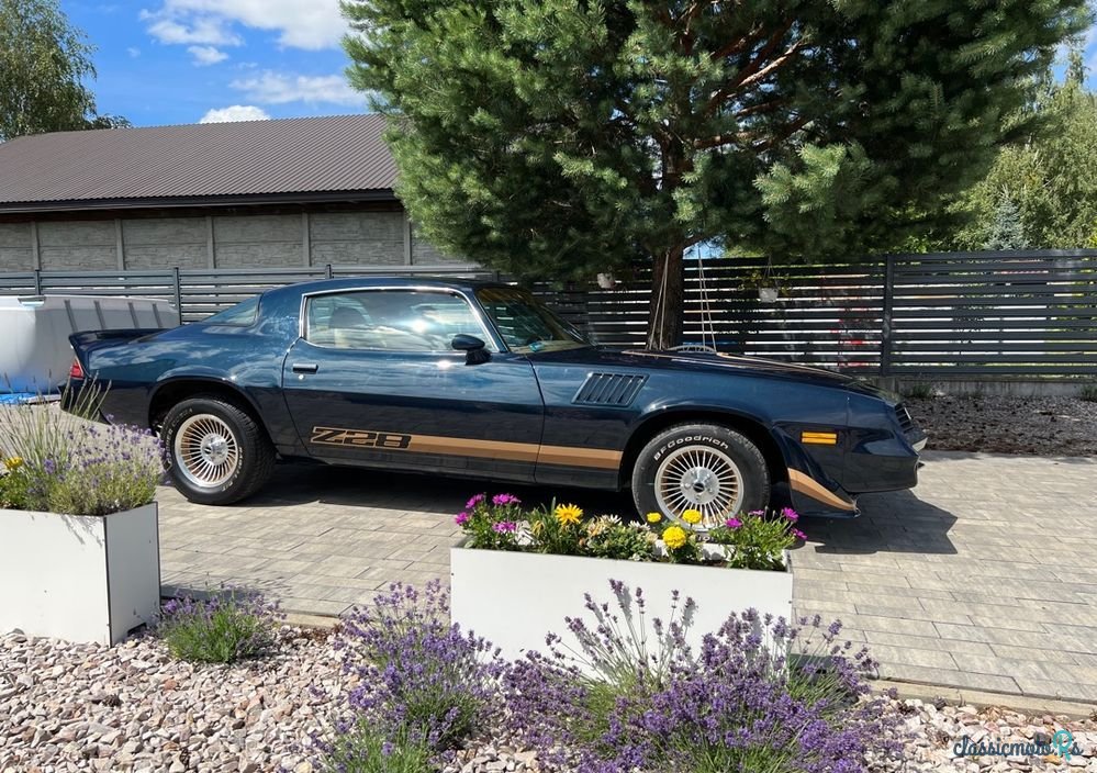 1979' Chevrolet Camaro photo #3