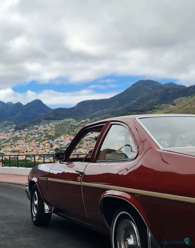 1976' Buick Skylark photo #5