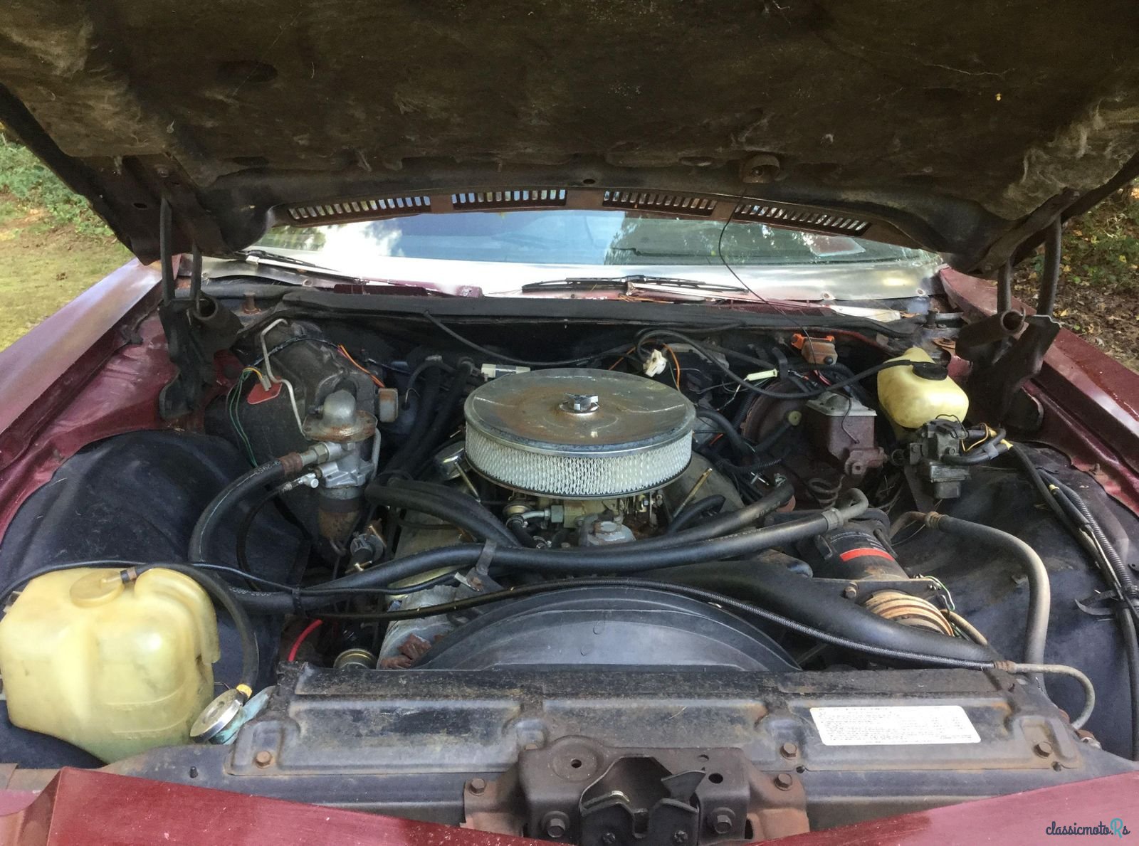 1974' Chevrolet Caprice photo #4