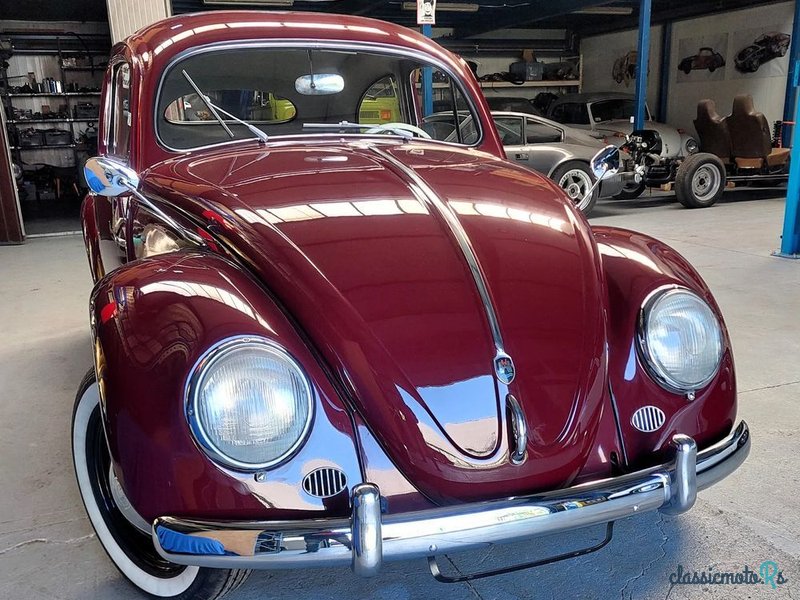 1955' Volkswagen Garbus photo #1