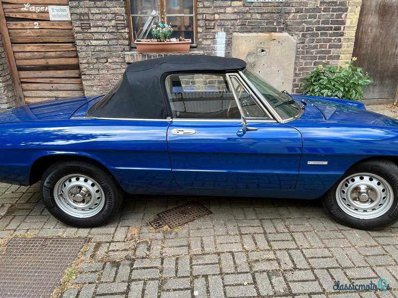 1981' Alfa Romeo Spider photo #5