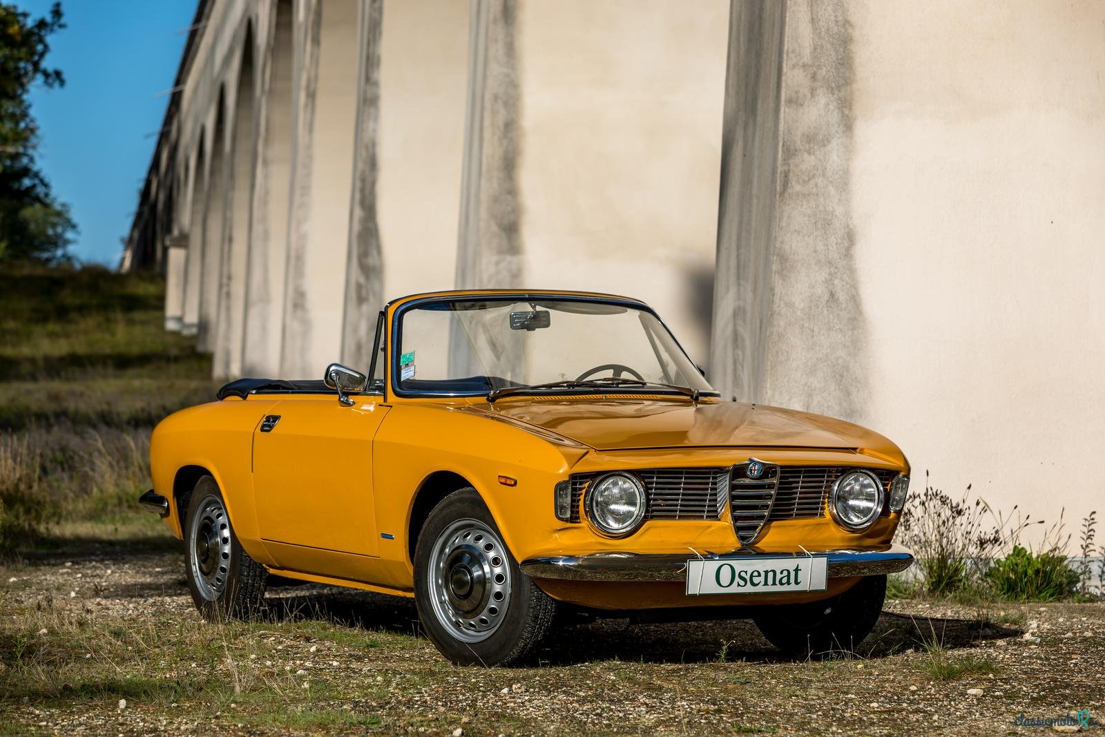 1965' Alfa Romeo photo #3