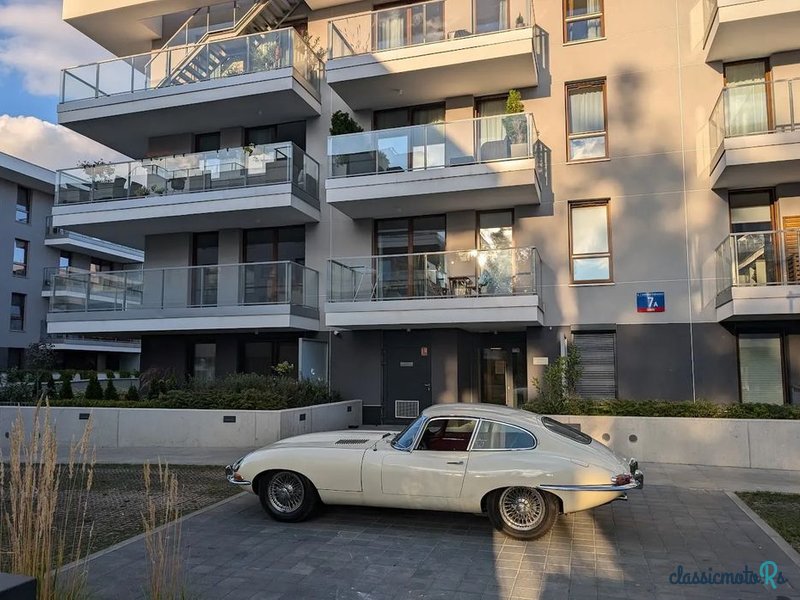 1962' Jaguar E-Type photo #3