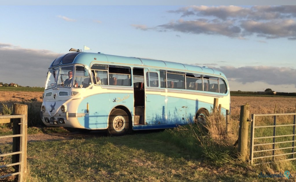 1952' Leyland Tiger photo #1