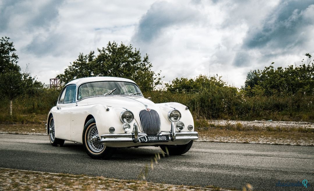 1959' Jaguar XK photo #3
