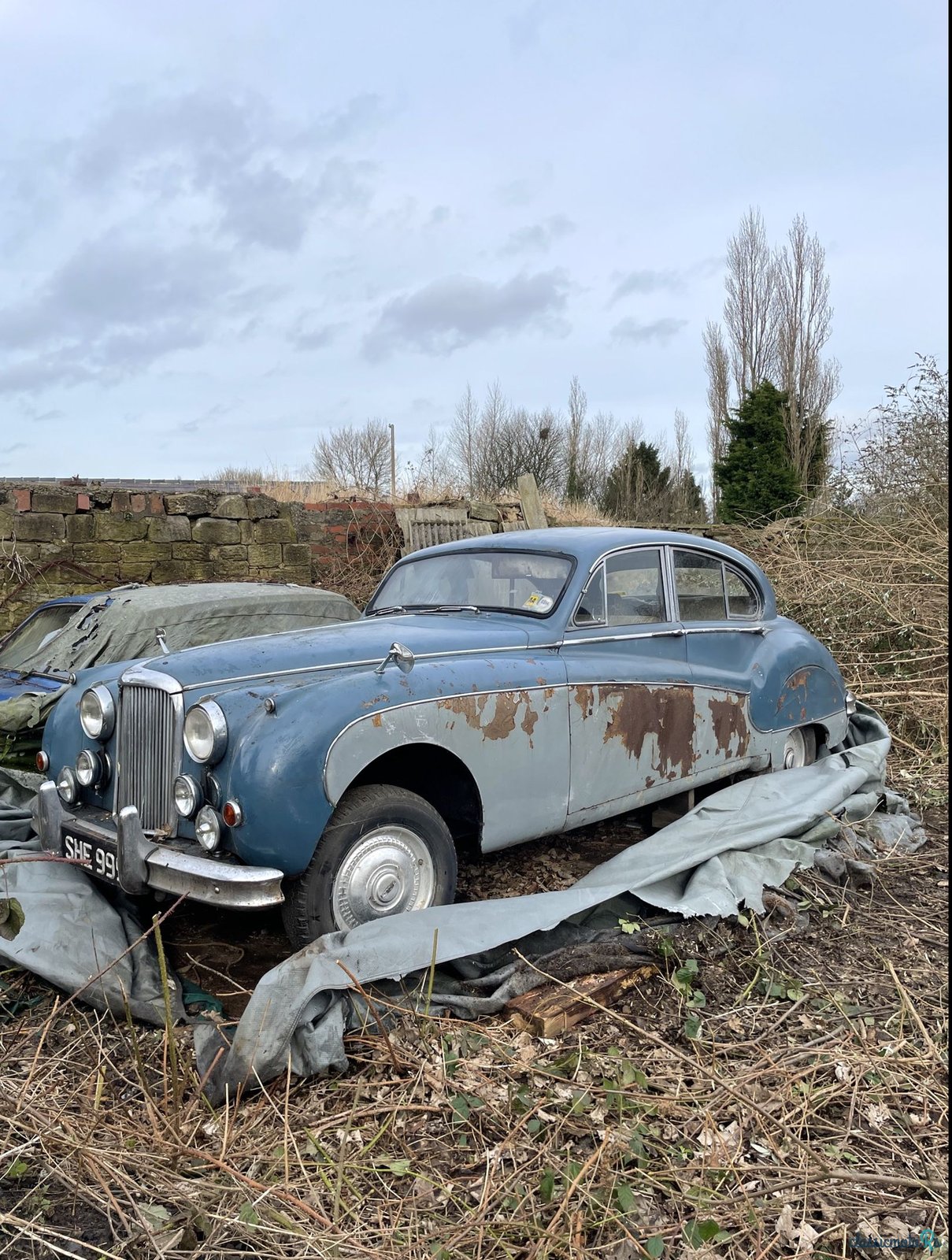 1959' Jaguar Mk9 photo #1